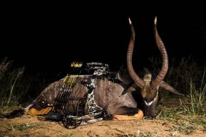 nyala bowhunt