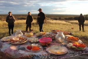 picnic