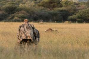 hunting on foot