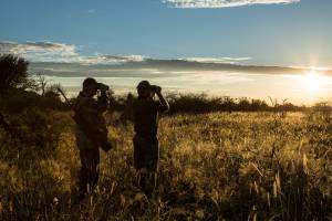 hunters at sunrise