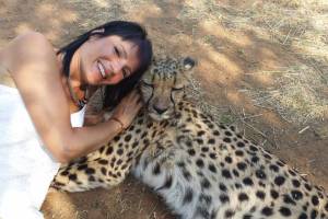 cheetah tame