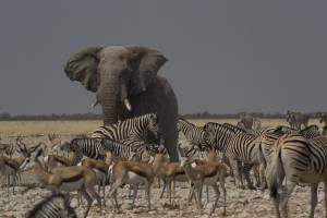 touren_safaris-45.jpg