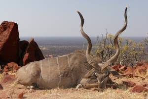 kudu mountain