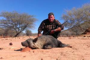 brown hyena