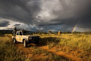 game drive