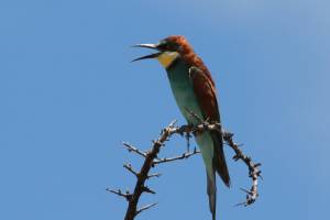 touren_safaris-6.jpg