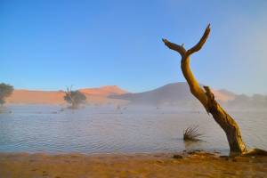 touren_safaris-26.jpg