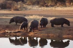 touren_safaris-34.jpg